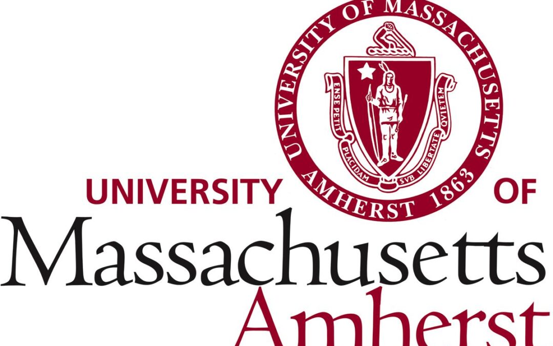 Curso online en UMASS