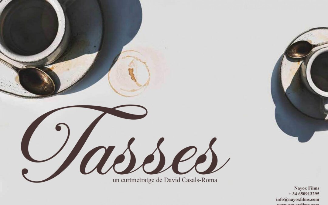 Curtmetratge de ficció